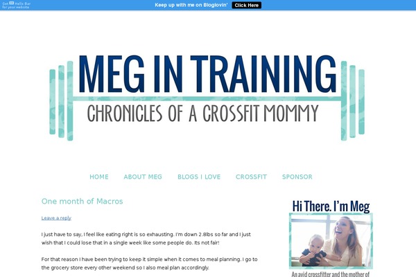 meg-in-training.com site used Mittemp