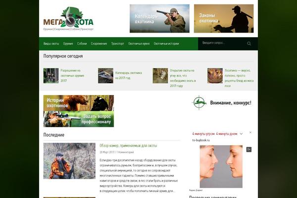 megaohota.ru site used Megaohota