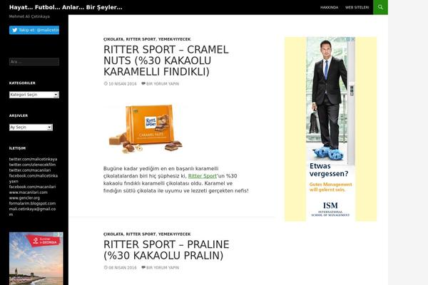 WordPress website example screenshot