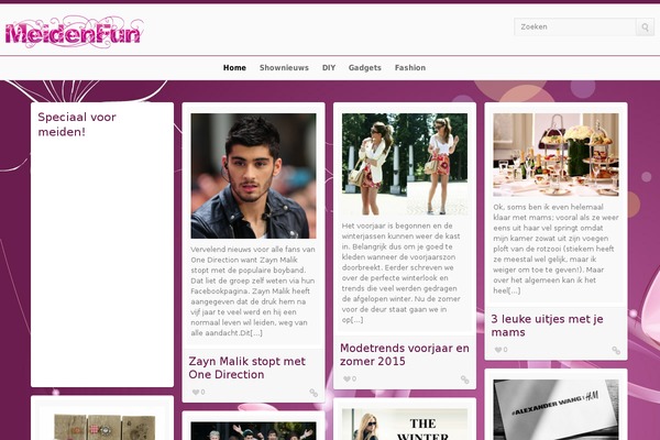 meidenfun.nl site used Wp_pinfinity5-v1.5.1