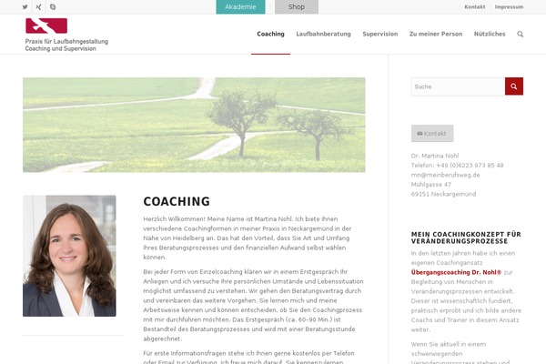 WordPress website example screenshot