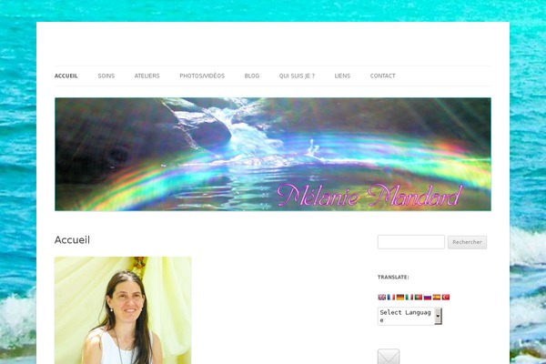 Twenty Twelve theme site design template sample