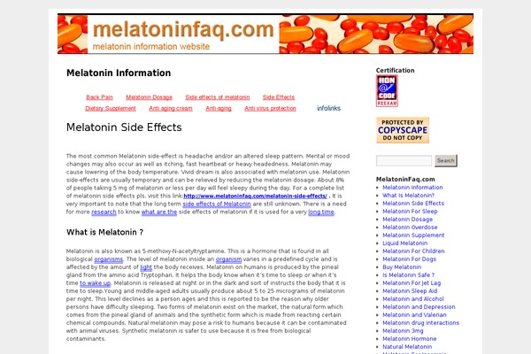 Twenty Ten theme site design template sample