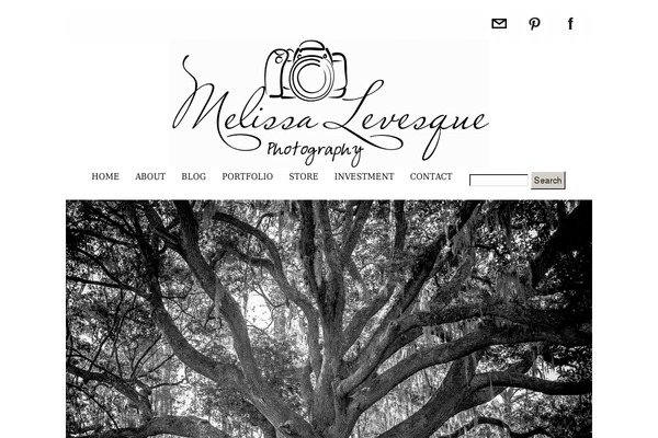 ProPhoto 5 theme site design template sample