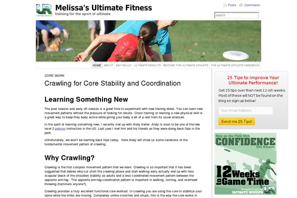 WordPress website example screenshot
