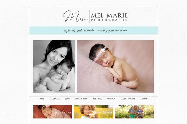 Prophoto4 theme site design template sample