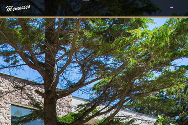 Site using Wpml-cms-nav plugin