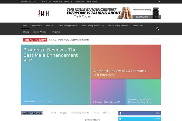 WordPress website example screenshot