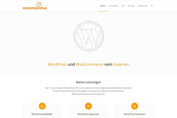 WordPress website example screenshot