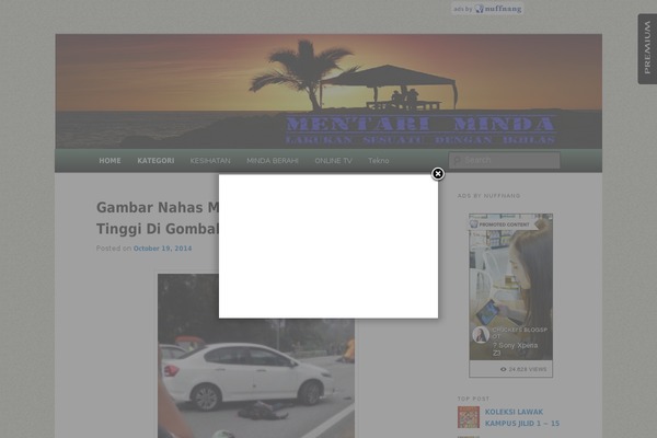 Site using Facebook Page Promoter Lightbox plugin