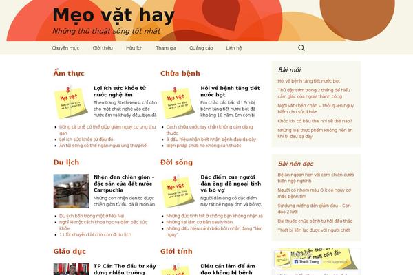 meo.vn site used Twentythirteen-binh