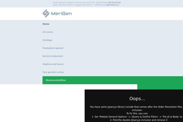 merigen.it site used Merigen