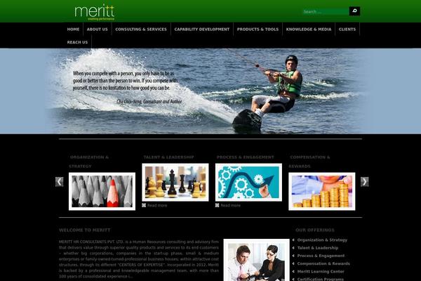 merittconsultants.com site used Meritt