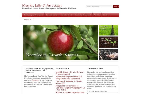 merskyjaffe.com site used Mersky-jaffe-theme
