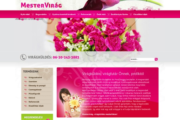 mestervirag.hu site used Mestervirag