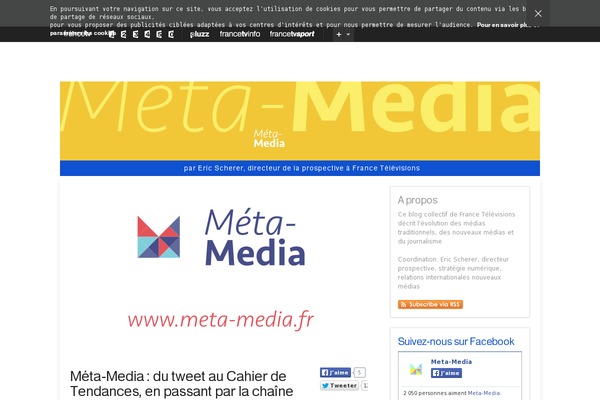 meta-media.fr site used Ftvi