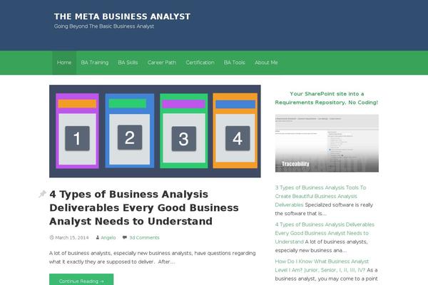 metabusinessanalyst.com site used Course