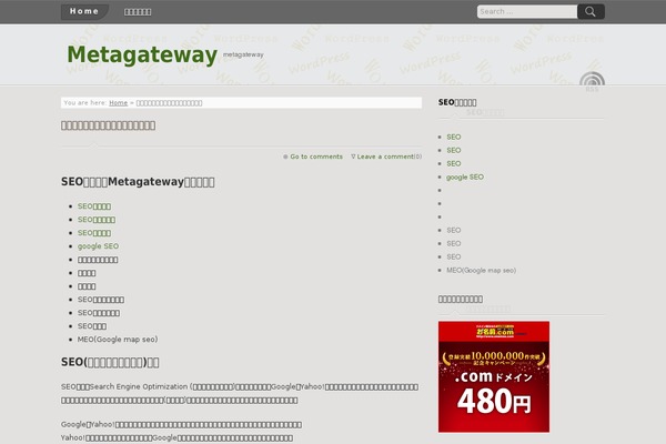 metagateway.jp site used zBorder
