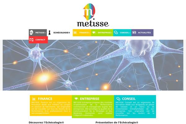 metisse-conseil.fr site used Metisse