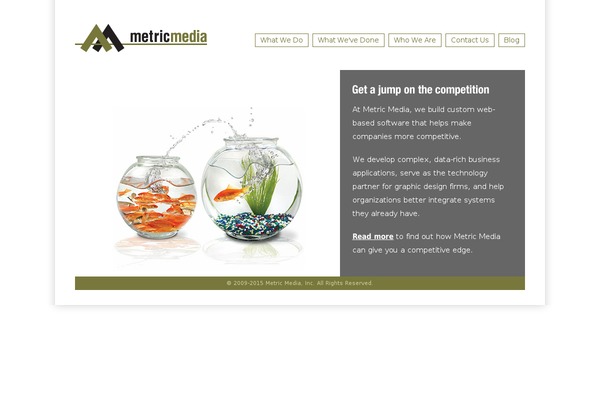 metricmedia.com site used Metricmediatheme