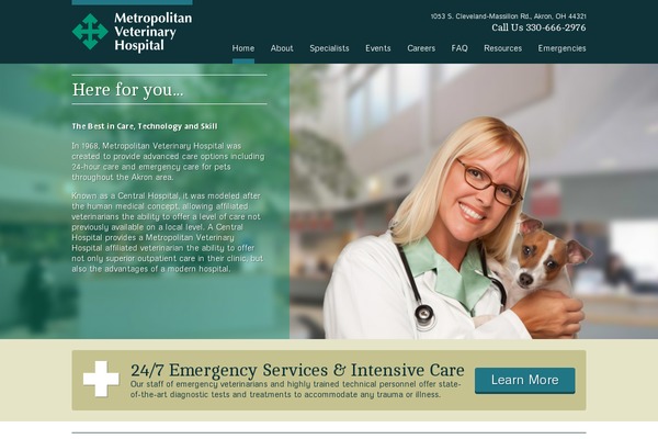 WordPress website example screenshot