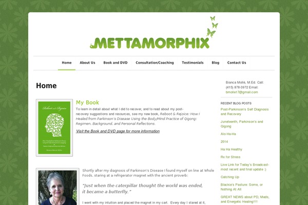 mettamorphix.com site used Reason
