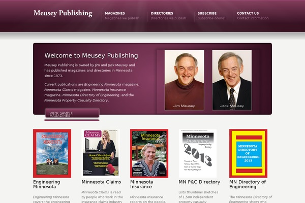 WordPress website example screenshot