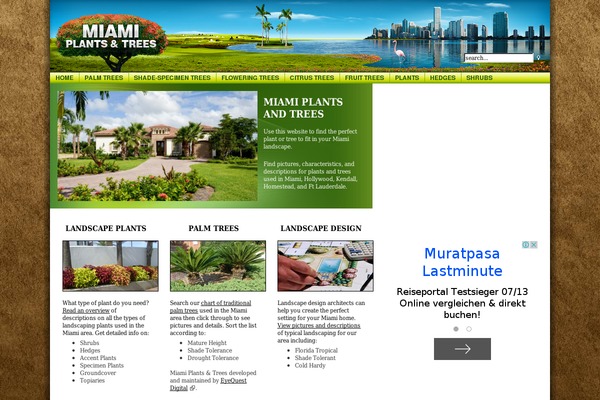 miamiplantsandtrees.com site used iCompany