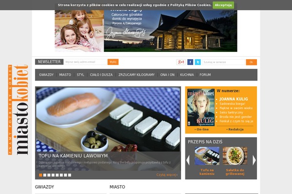Magazinevibe theme site design template sample