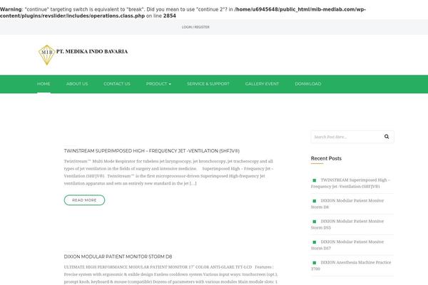 WordPress website example screenshot