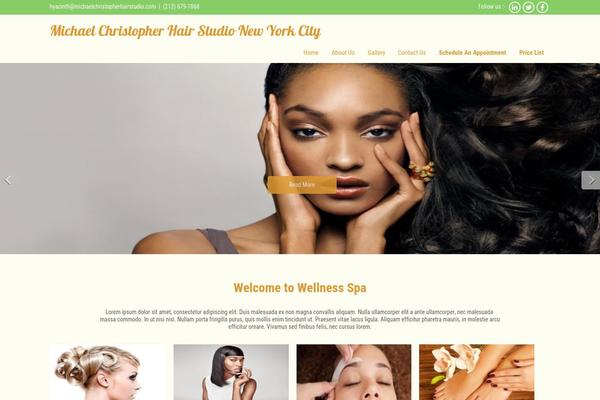 michaelchristopherhairstudio.com site used Skt-spa