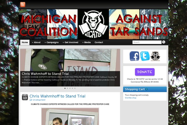 WordPress website example screenshot