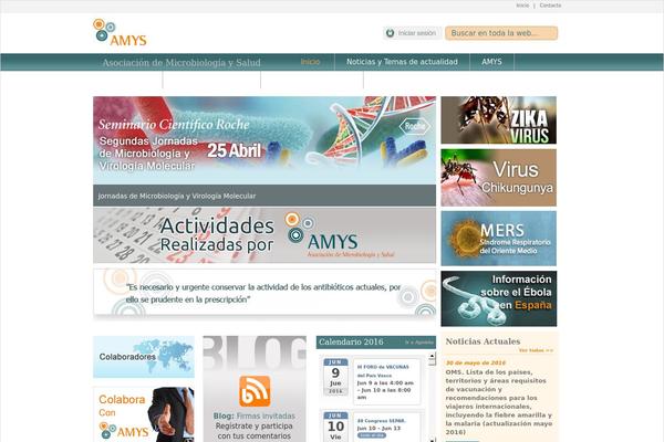 Amys theme websites examples