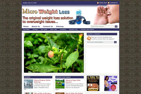 WordPress website example screenshot