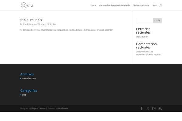 Divi theme site design template sample