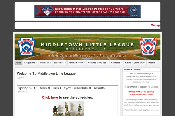 WordPress website example screenshot