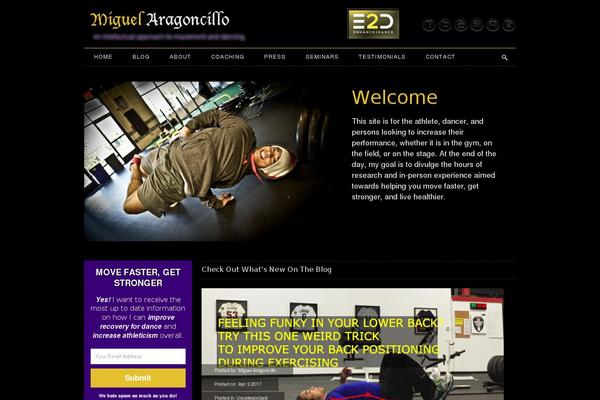 miguelaragoncillo.com site used Miguel