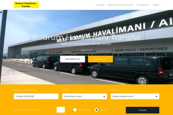 Transfers theme site design template sample