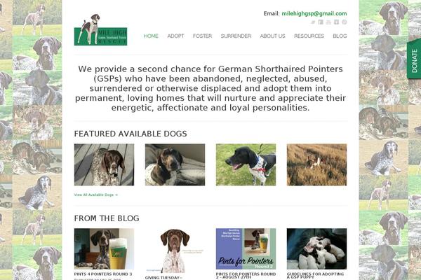 WordPress website example screenshot