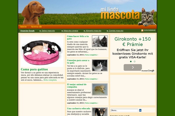 mascotas theme websites examples