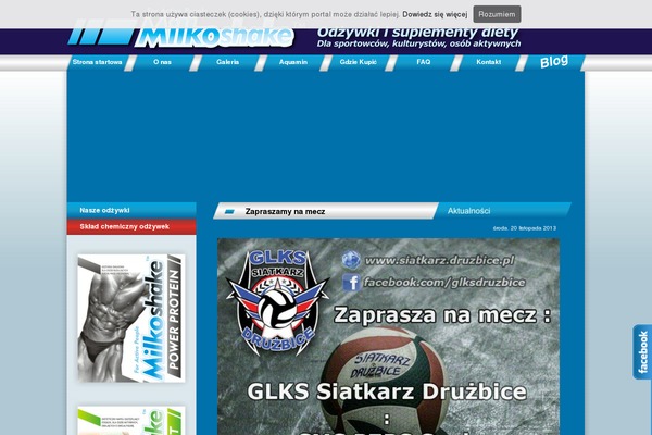 milkoshake.pl site used Blank_template