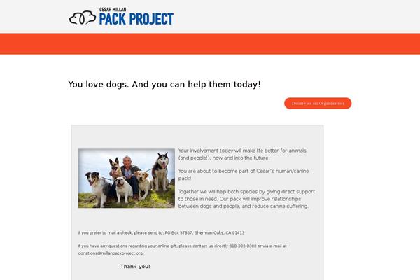 welfare-child theme websites examples