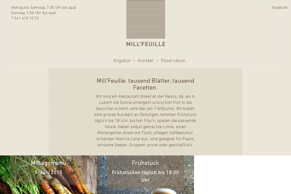 MF theme site design template sample