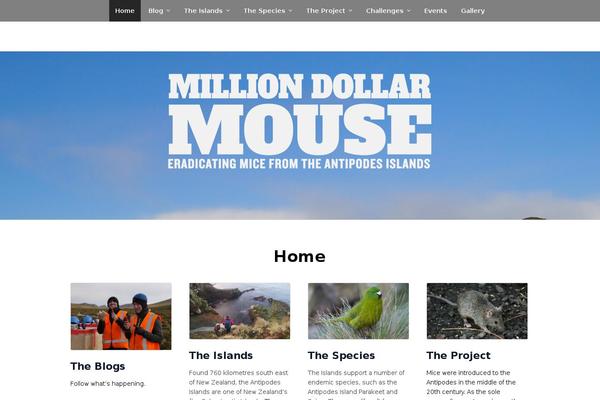 milliondollarmouse.org.nz site used The One Pager