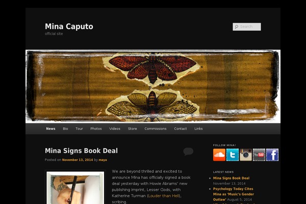 Site using Easy Social Icons plugin
