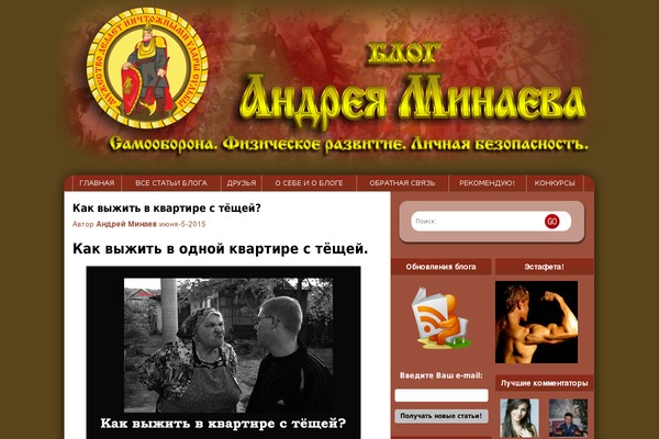 minaev-combat.ru site used Problogging