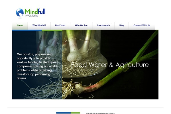 mindfulinvestors.com site used Mindfull