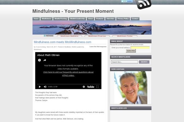 mindfulness.com site used Cooltheme