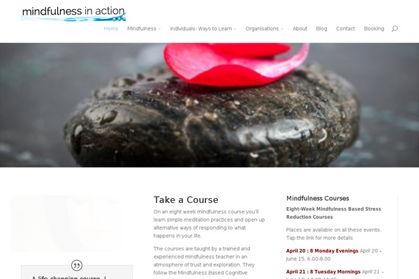 WordPress website example screenshot