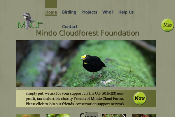 mindocloudforest.org site used Simpro